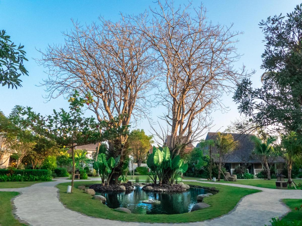Sudamala Resort, Komodo, Labuan Bajo Exteriér fotografie The twin trees at the centre of the resort